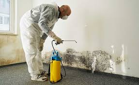 Best Residential Mold Inspection & Testing in Claremont, CA